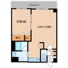ピュアライフ石川 1LDKの間取り