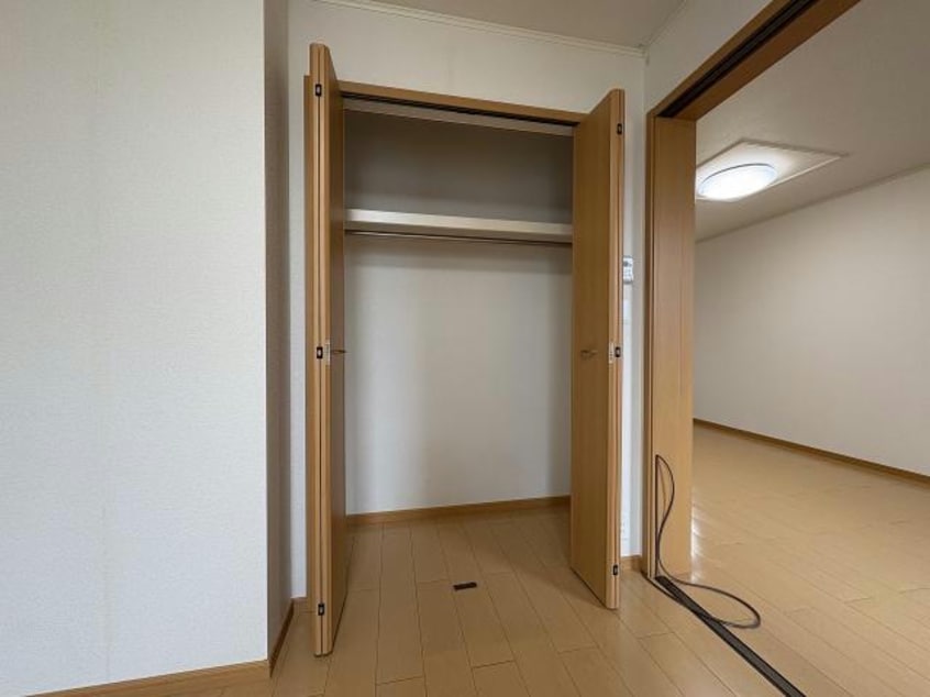  パラシオン桔梗