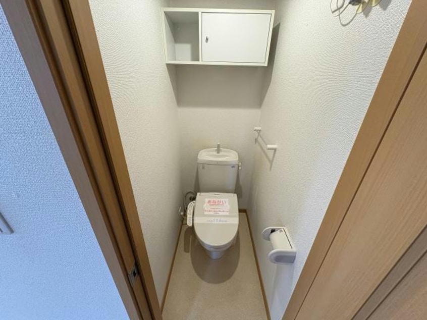  パラシオン桔梗