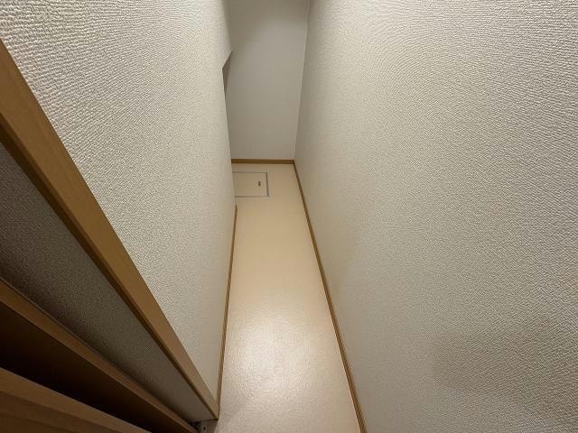  パラシオン桔梗