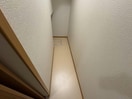 パラシオン桔梗