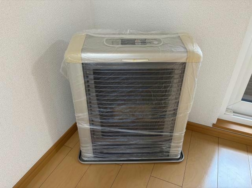  パラシオン桔梗