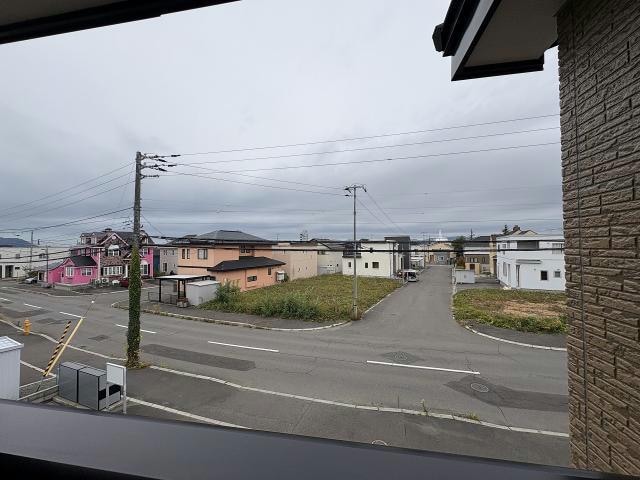  パラシオン桔梗