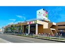 グランディールイチイ(ショッピングセンター/アウトレットモール)まで2238m コーポラスJOYⅠ