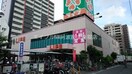 ライフビオラル靭店(スーパー)まで495m Primavera Nakanoshima