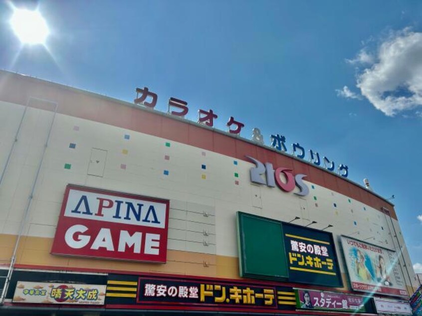 ドン・キホーテ姫路RIOS店(ディスカウントショップ)まで329m ハイツ渚