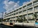 姫路市立東小学校(小学校)まで862m ハイツ渚