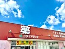 ゴダイドラッグ宮上店(ドラッグストア)まで471m MISTRAL東姫路駅前Ⅱ