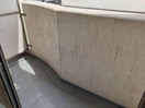  アグネス