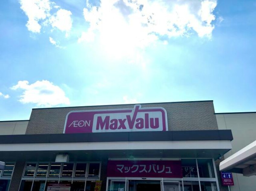 マックスバリュ宮上店(スーパー)まで163m サン　ツインズA