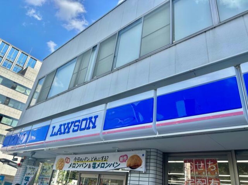 ローソン姫路豊沢町店(コンビニ)まで372m サクシード姫路駅南