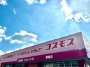 ディスカウントドラッグコスモス野里店(ドラッグストア)まで532m ダリア　B棟
