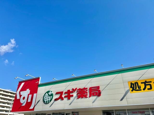 スギ薬局東姫路店(ドラッグストア)まで364m 泰山木苑　A棟