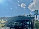 スターバックスコーヒー姫路市川橋通店(その他飲食（ファミレスなど）)まで851m 泰山木苑　A棟