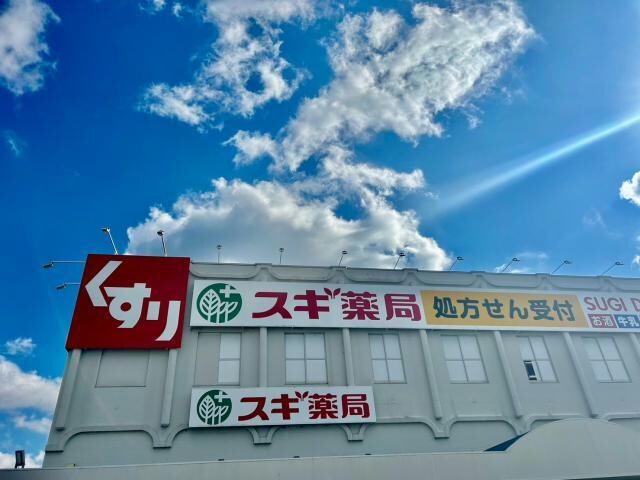 スギ薬局姫路御着店(ドラッグストア)まで195m グランシャリオ天川