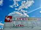 スギ薬局姫路御着店(ドラッグストア)まで195m グランシャリオ天川