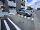  ステラ　アイエス