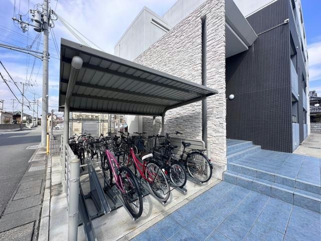  ステラ　アイエス