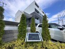  ステラ　アイエス