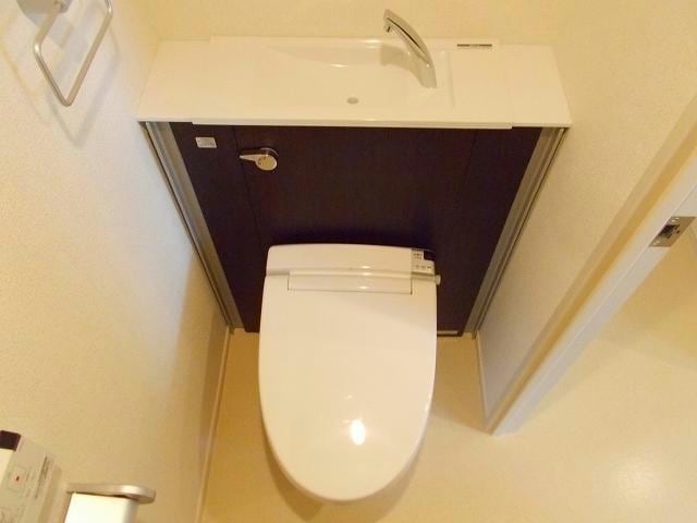 ステラ　アイエス
