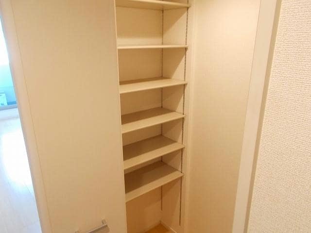  ステラ　アイエス