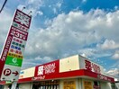 ゴダイドラッグ上野田店(ドラッグストア)まで2286m グレイス・R　Ⅱ