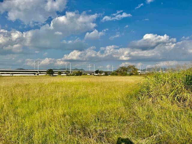 阿保緑地(公園)まで1069m エマーブル