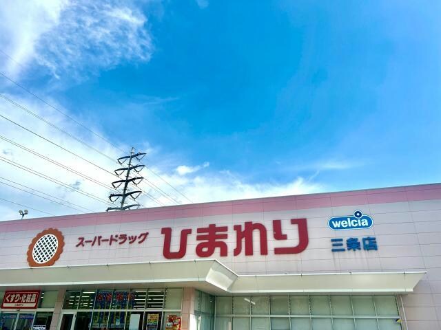 スーパードラッグひまわり三条店(ドラッグストア)まで992m MISTRAL姫路駅前Ⅷ安田