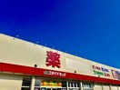 ゴダイドラッグ御着店(ドラッグストア)まで774m カーサーアスール