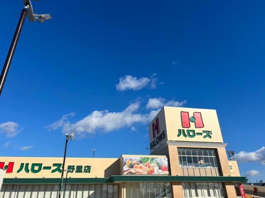 ハローズ野里店(スーパー)まで791m アメニティー水上