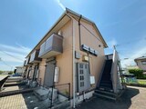 アバンセ　グリーン