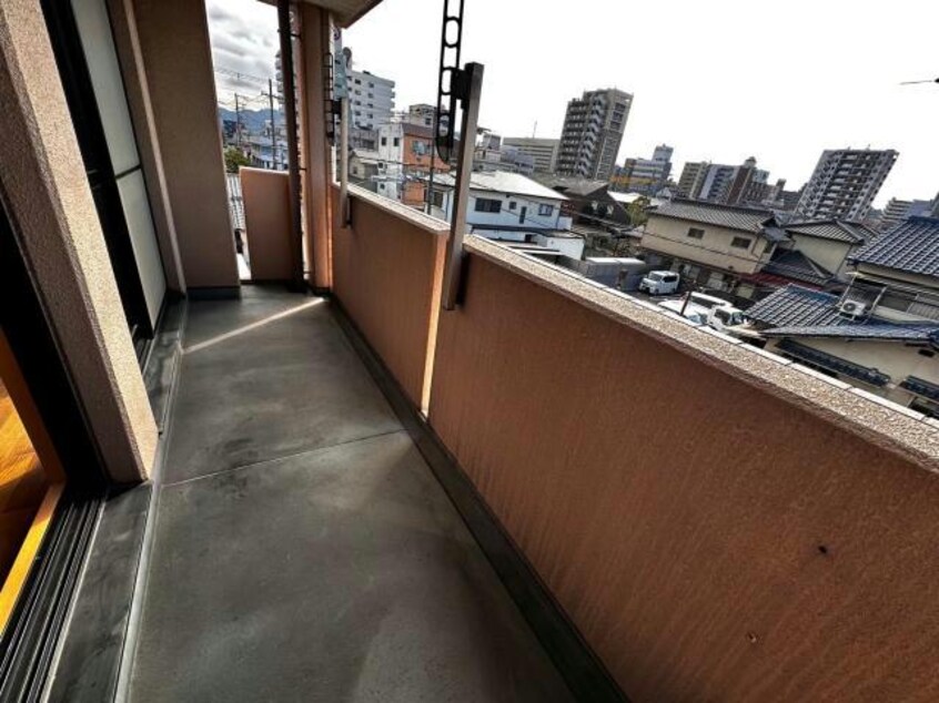 サニーニシウラ