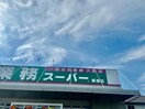 業務スーパー飾磨店(スーパー)まで569m エーデルハイム