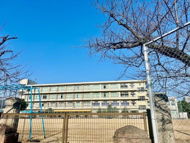 姫路市立英賀保小学校(小学校)まで669m グレイシャス