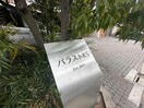  パラストＫＳ