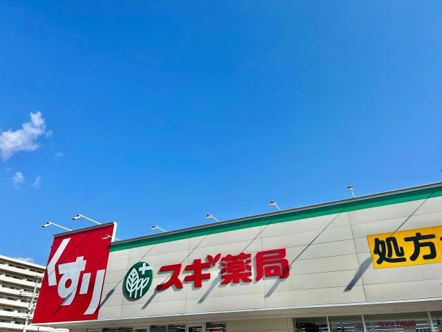 スギ薬局東姫路店(ドラッグストア)まで1054m ヴァン　ベール