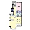 スタービレ 1LDKの間取り