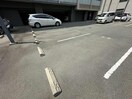  パレー　ブランシェ