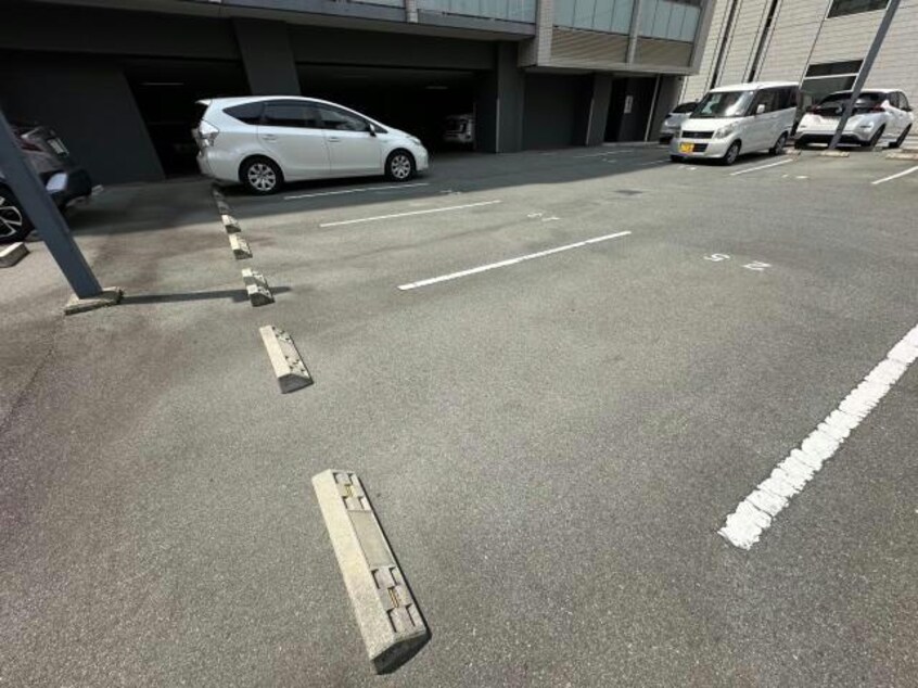  パレー　ブランシェ