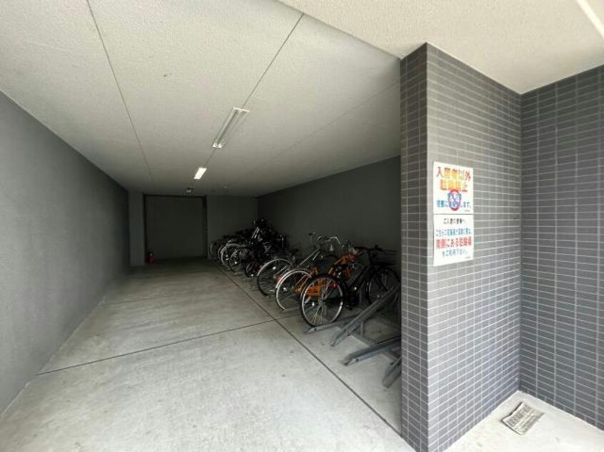  パレー　ブランシェ