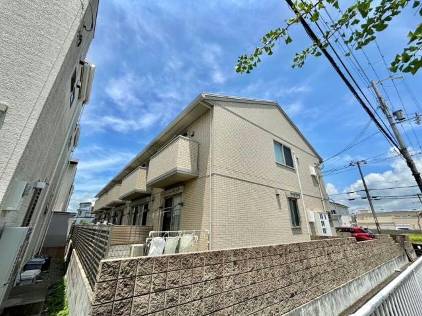  グレイス・アイ