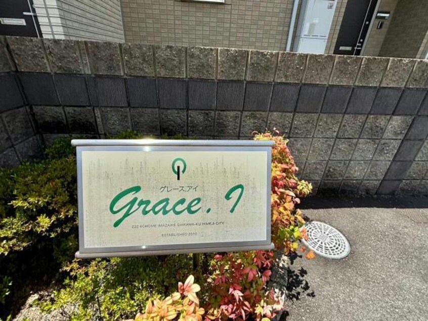  グレイス・アイ