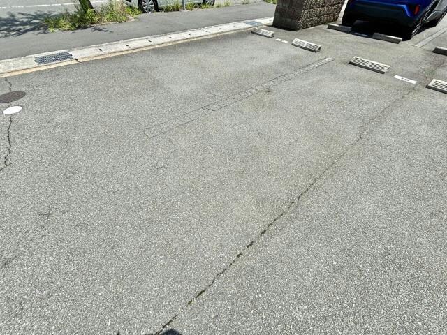  グレイス・アイ