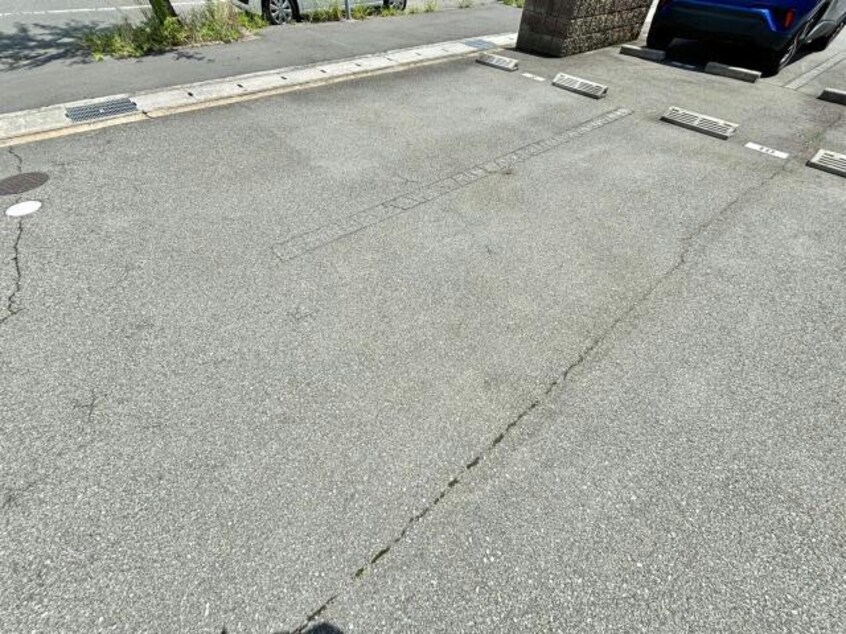  グレイス・アイ