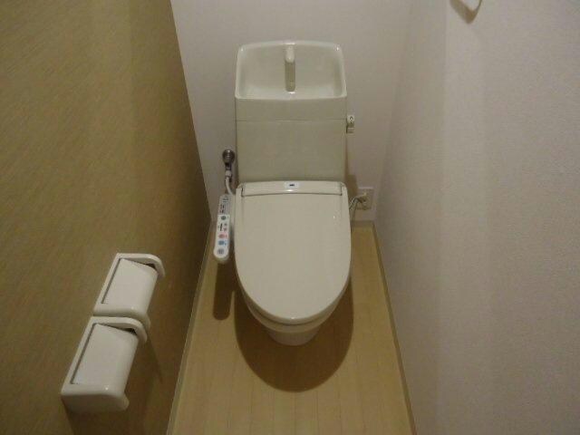  サンフィット