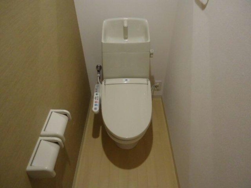  サンフィット