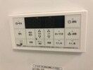  シギラ