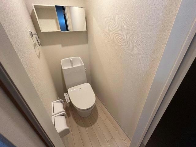  ステラータ