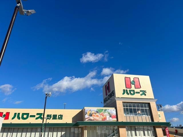 ハローズ野里店(スーパー)まで689m ステラータ