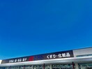 アルカドラッグ姫路手柄店(ドラッグストア)まで425m プラシード手柄Ⅱ